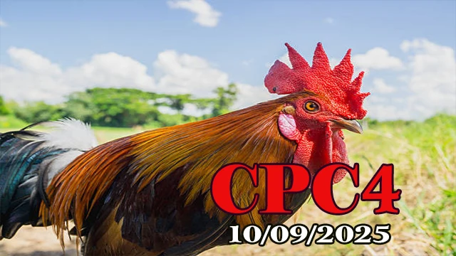 Đá gà trực tiếp C4 Campuchia phát lại full HD 10/09/2025