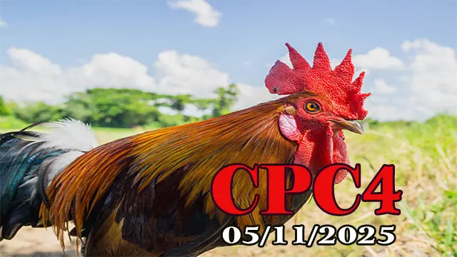 Xem clip đá gà trực tiếp CPC4 hôm nay 05/11/2025 phát lại